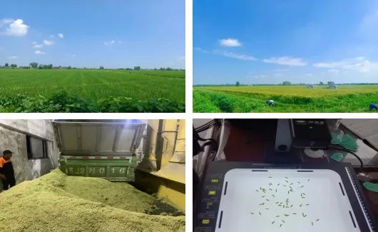 微信圖片_20231013095343.jpg 微信圖片_20231013095343.jpg